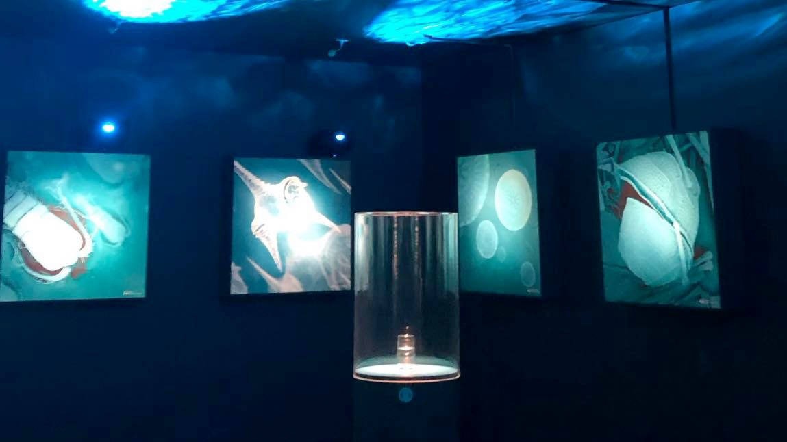 Vincent Jaton - Espace Horloger - Exposition MERCI