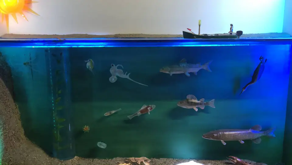 Aquarium présentant des poissons du Léman