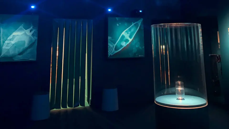 Ambiance aquatique bleue autour d’une vitrine cylindrique